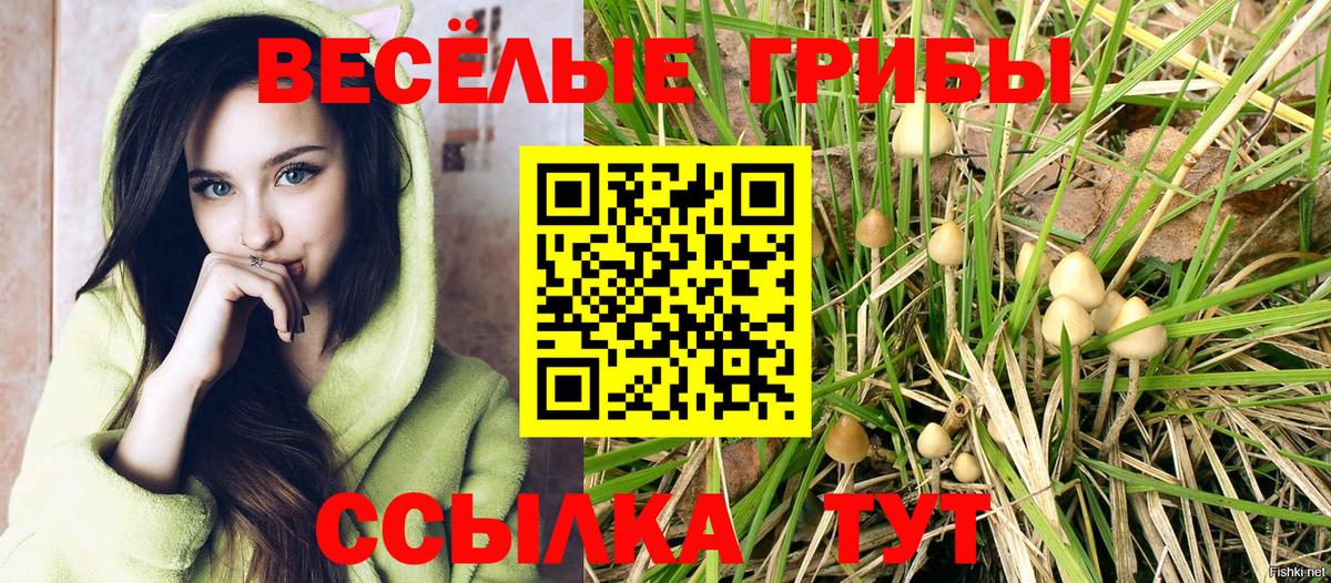 Псилоцибиновые грибы мицелий Печора